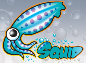 Squid-cache